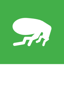 White vector graphic of a flea on a green background. 